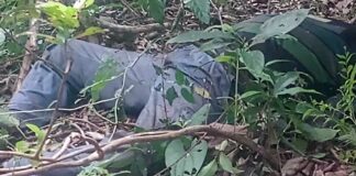 Asesinan a defensor del territorio, Arnoldo Nicolás Romero, en San Juan Guichicovi, Oaxaca
