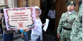 Ballena-Fest rechaza gasoducto y planta de licuefacción en el Golfo de California