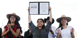 Ciudad de México, territorio libre de maíz transgénico