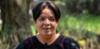 Comunidades deben apropiarse del Gran Bosque de Agua: Lucero González