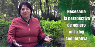 Necesaria la perspectiva de género en la ley cooperativa