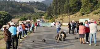 Denuncian operativos de simulación contra talamontes en el Gran Bosque de Agua