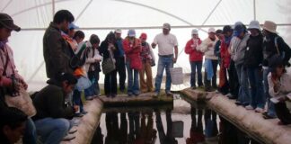 Estado de Hidalgo apoya hasta con 200 mil pesos a cooperativas