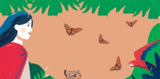 En diez años, han asesinado a 189 personas que defendían la tierra en México