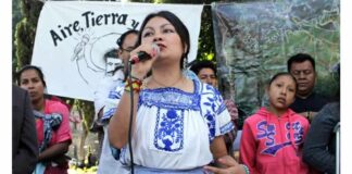 Artículo 19 condena amenazas contra Miryam Vargas de Cholollan Radio