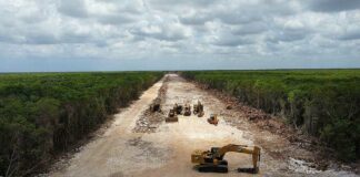 Remediaciones ambientales por Tren Maya, con las comunidades: Greenpeace