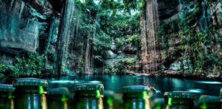 Comunidades mayas rechazan planta de Heineken en Yucatán