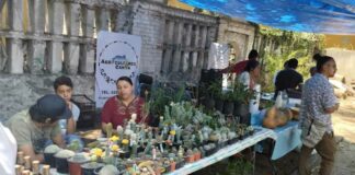 Ya viene el 3er Tianguis de Economía Solidaria en Puebla
