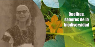 Quelites, sabores de la biodiversidad