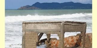 Rompeolas en Salina Cruz, ha significado proceso de etnocidio: APIDTT