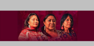 Cholula usa imagen de defensoras del territorio para deslegitimarlas: Vargas Teutle