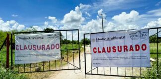 Le cae clausura definitiva a mega granja porcícola en Yucatán