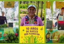 Tianquiskilitl cumple 10 años de ser una alternativa en producción agroecológica