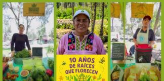 Tianquiskilitl cumple 10 años de ser una alternativa en producción agroecológica