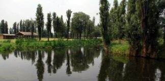 Informe de Gobierno de la CDMX destaca creación de cooperativas de turismo comunitario