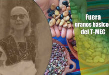 Fuera granos básicos del T-MEC