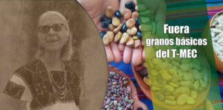 Fuera granos básicos del T-MEC