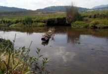 Iniciativa de agua, aprovechada por desestabilizadores: Contralorías Autónomas