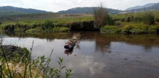 Iniciativa de agua, aprovechada por desestabilizadores: Contralorías Autónomas