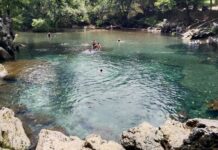 Ley de Aguas perpetuará la ley salinista: Agua para Todos y Contralorías Autónomas