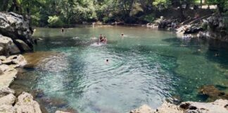 Ley de Aguas perpetuará la ley salinista: Agua para Todos y Contralorías Autónomas