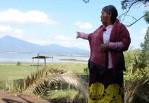 Leyes de agua no frenan acaparamiento ni sobreexplotación: Contraloría Autónoma y Agua para Todos