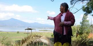 Leyes de agua no frenan acaparamiento ni sobreexplotación: Contraloría Autónoma y Agua para Todos