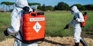 Revista científica se retracta de artículo sobre glifosato