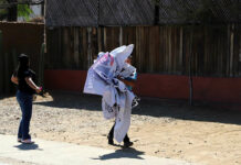 Acusan de maquillaje político en revocación de mandato en Oaxaca