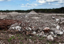Nueva clausura a mega granja avícola en Yucatán por desmonte ilegal