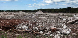 Nueva clausura a mega granja avícola en Yucatán por desmonte ilegal