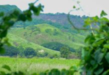 Pobladores de Chimalapas piden resguardo federal ante amenazas