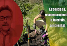 Ecoaldeas, respuesta colectiva a la crisis ambiental