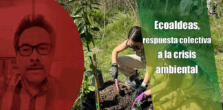 Ecoaldeas, respuesta colectiva a la crisis ambiental