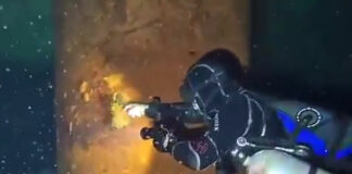 Ambientalistas documentan desintegración de pilotes del Tren Maya