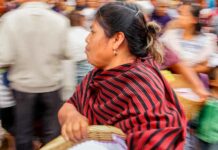 En clave indígena, el capitalismo es en realidad la otra economía: Gustavo Oliveira