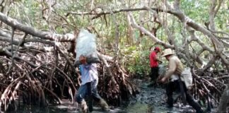 Derrame petrolero ya impacta 630 kilómetros de costa en el Golfo de México