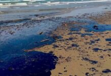 Comunidades pesqueras de Veracruz y Tabasco afectadas por derrame petrolero