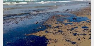 Comunidades pesqueras de Veracruz y Tabasco afectadas por derrame petrolero