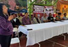 Mixteca de Puebla y Oaxaca declaran territorio prohibido para minería