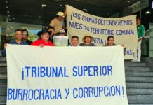 Chimalapas solicita amparos ante sentencias que expropiarían territorios oaxaqueños