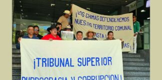 Chimalapas solicita amparos ante sentencias que expropiarían territorios oaxaqueños