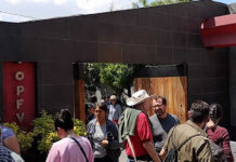 Cooperativa Acapatzingo, una muestra tangible de esperanza en medio del colapso urbano