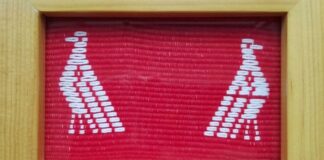 Pueblo Hñähñu – Otomí en resistencia ante despojo cultural