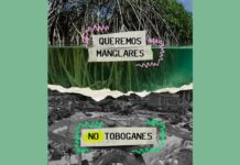 Manglares de Mahahual 1- Megaproyectos 0