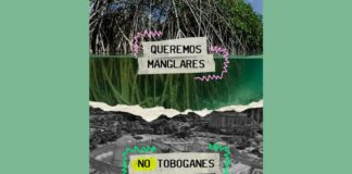 Manglares de Mahahual 1- Megaproyectos 0