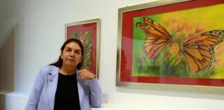 Instantes de la naturaleza llegan desde Contepec, a la galería de Pascual