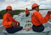 Se han perdido 27 mil hectáreas de manglar en cinco años, informa Conabio