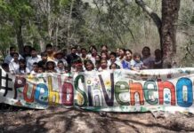 Suprema Corte ordena proteger a 17 comunidades mayas ante presencia de plaguicidas
