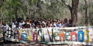 Suprema Corte ordena proteger a 17 comunidades mayas ante presencia de plaguicidas